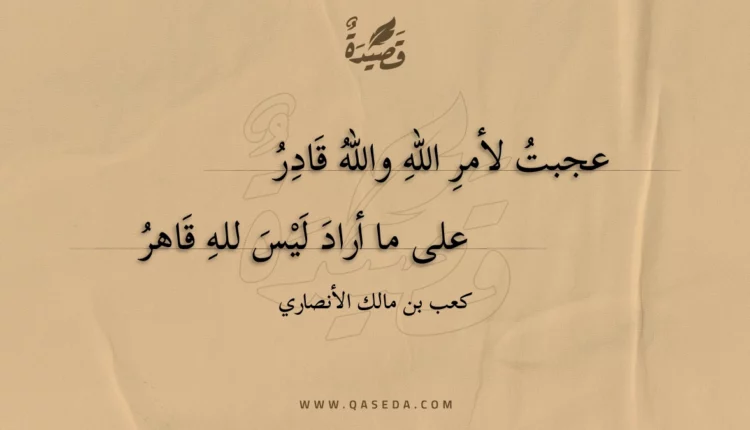 قصيدة عجبت لأمر الله والله قادر