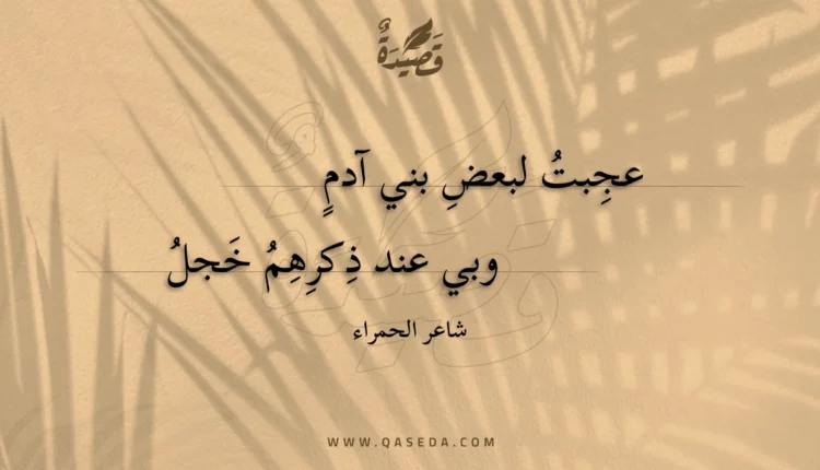 قصيدة عجبت لبعض بني آدم