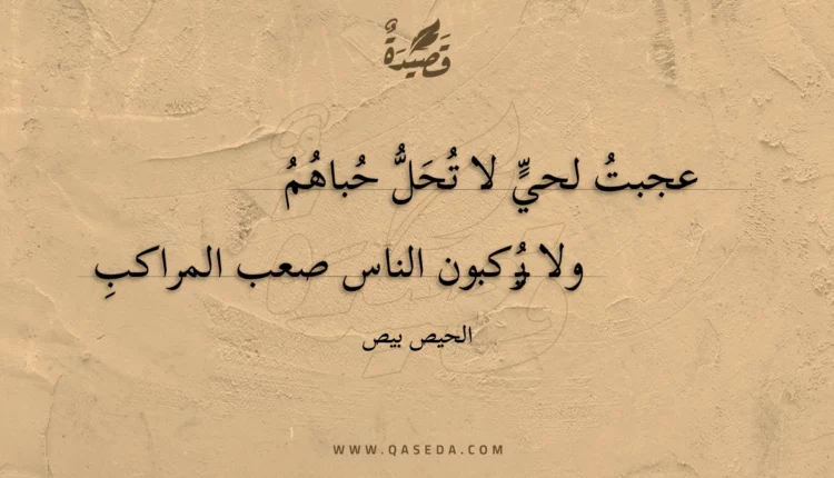 قصيدة عجبت لحي لا تحل حباهم