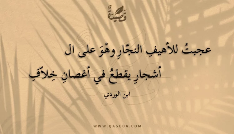 قصيدة عجبت للأهيف النجار وهو على