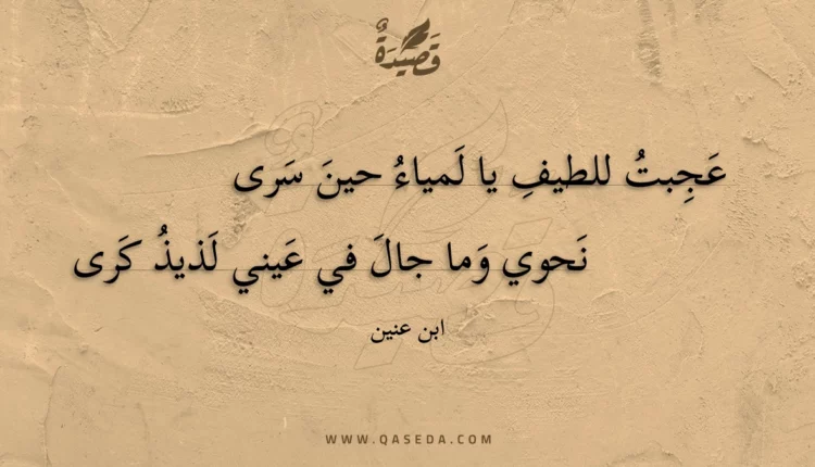 قصيدة عجبت للطيف يا لمياء حين سرى
