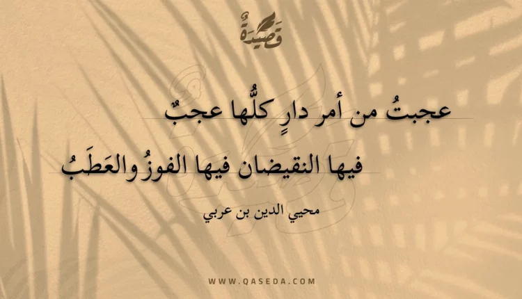 قصيدة عجبت من أمر دار كلها عجب