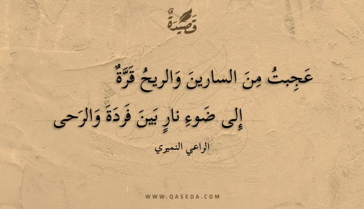قصيدة عجبت من السارين والريح قرة