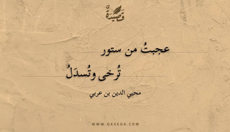 قصيدة عجبت من ستور