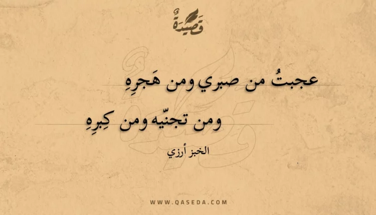 قصيدة عجبت من صبري ومن هجره
