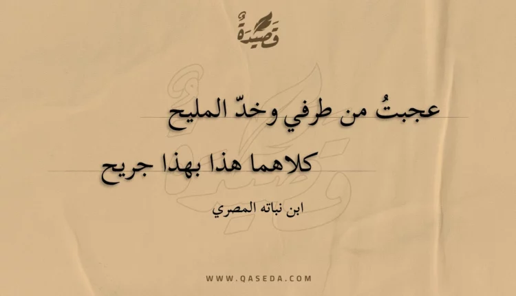 قصيدة عجبت من طرفي وخد المليح