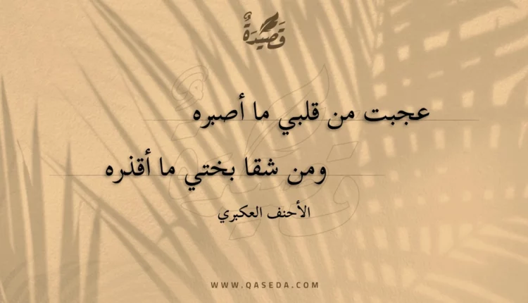 قصيدة عجبت من قلبي ما أصبره