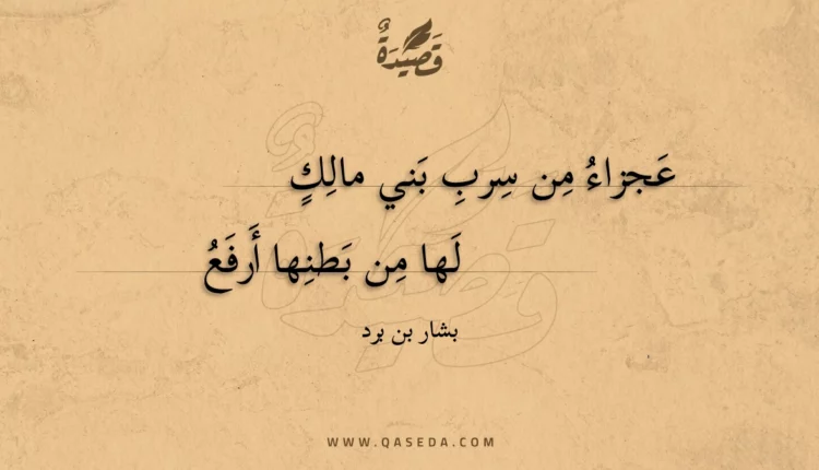 قصيدة عجزاء من سرب بني مالك