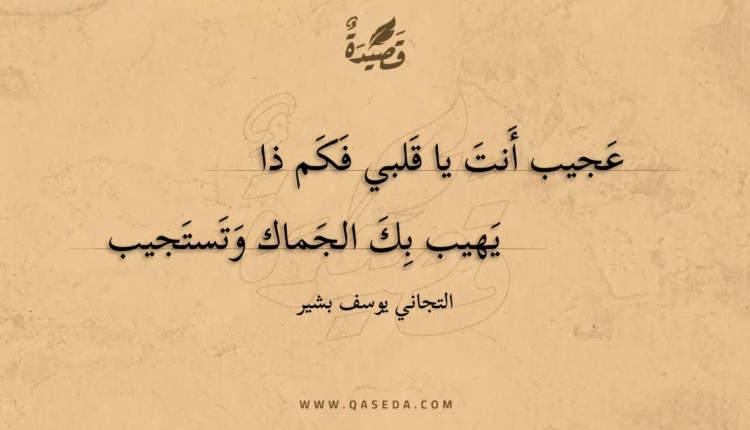 قصيدة عجيب أنت يا قلبي فكم ذا