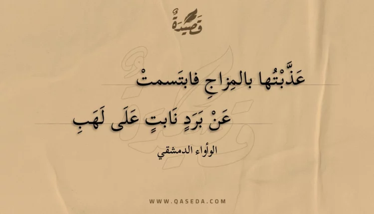 قصيدة عذبتها بالمزاج فابتسمت