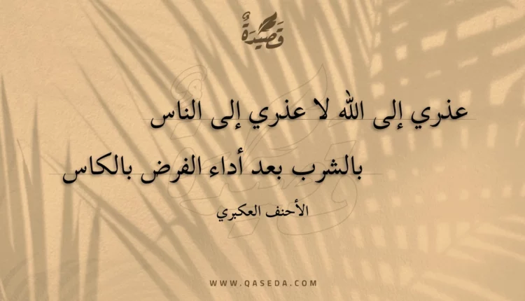 قصيدة عذري إلى الله لا عذري إلى الناس