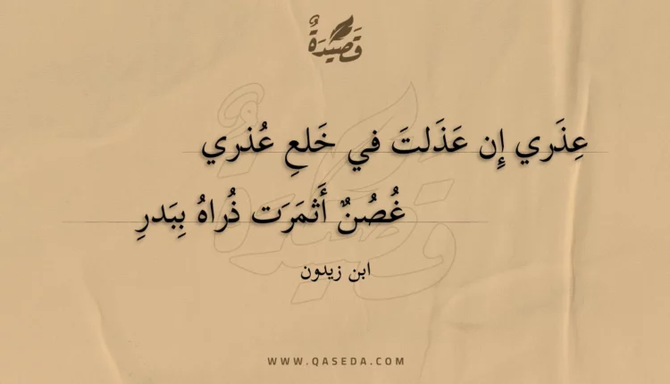 قصيدة عذري إن عذلت في خلع عذري