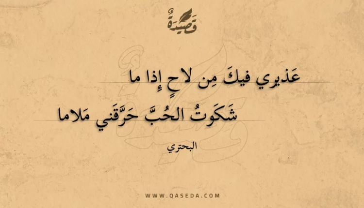 قصيدة عذيري فيك من لاح إذا ما