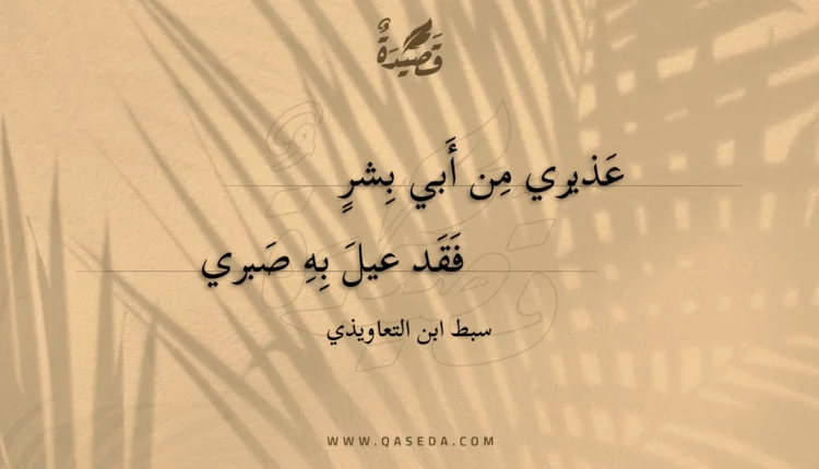 قصيدة عذيري من أبي بشر