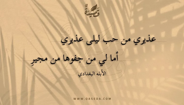 قصيدة عذيري من حب ليلى عذيري