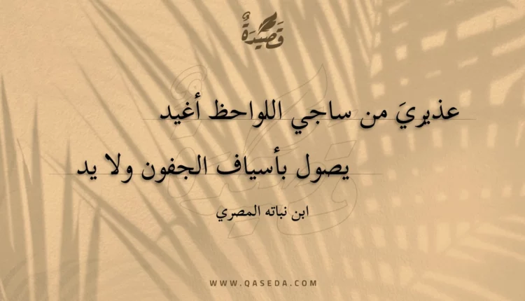 قصيدة عذيري من ساجي اللواحظ أغيد