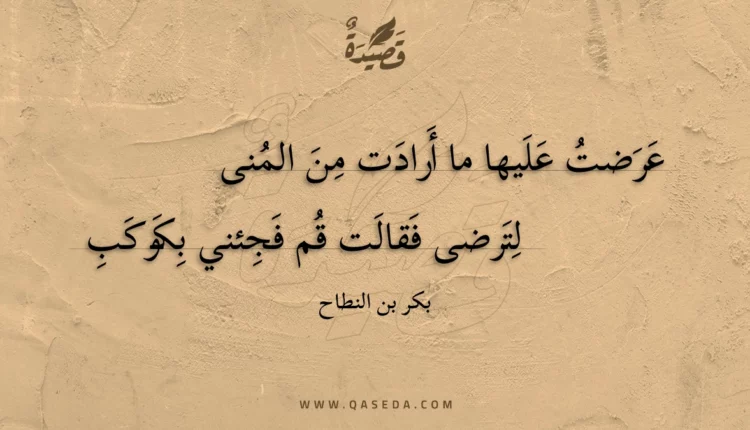 قصيدة عرضت عليها ما أرادت من المنى