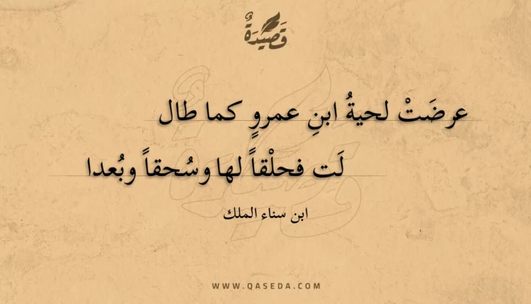 قصيدة عرضت لحية ابن عمرو كما طال