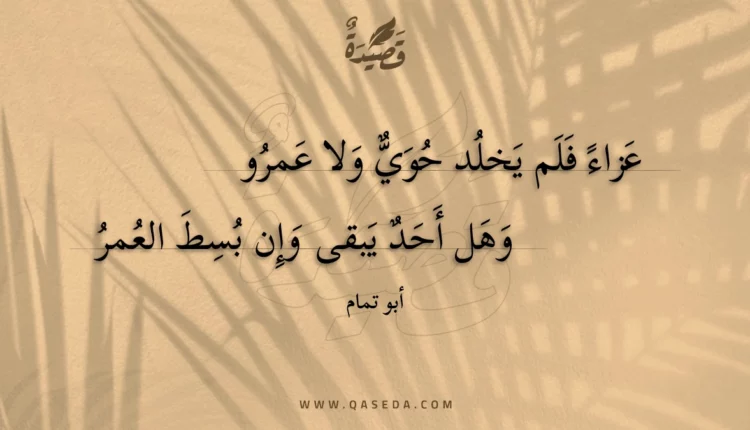 قصيدة عزاء فلم يخلد حوي ولا عمرو