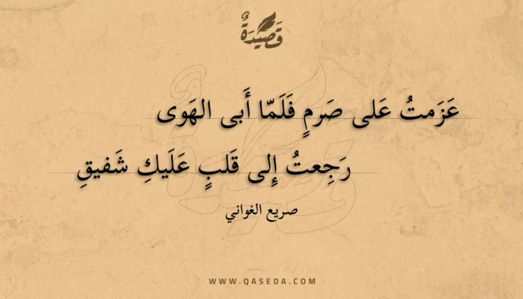 قصيدة عزمت على صرم فلما أبى الهوى