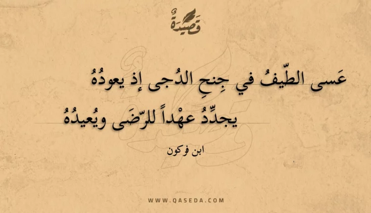 قصيدة عسى الطيف في جنح الدجى إذ يعوده
