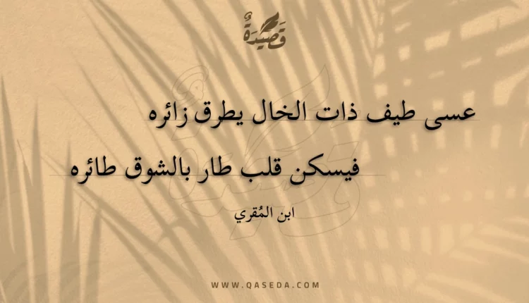 قصيدة عسى طيف ذات الخال يطرق زائره