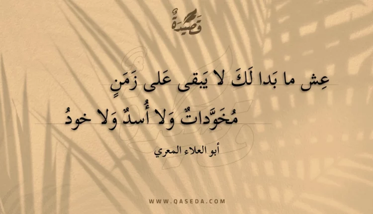قصيدة عش ما بدا لك لا يبقى على زمن