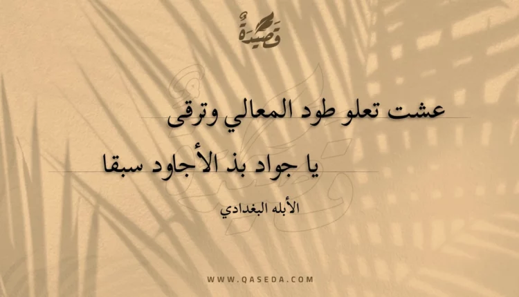 قصيدة عشت تعلو طود المعالي وترقى