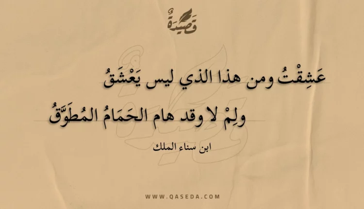 قصيدة عشقت ومن هذا الذي ليس يعشق