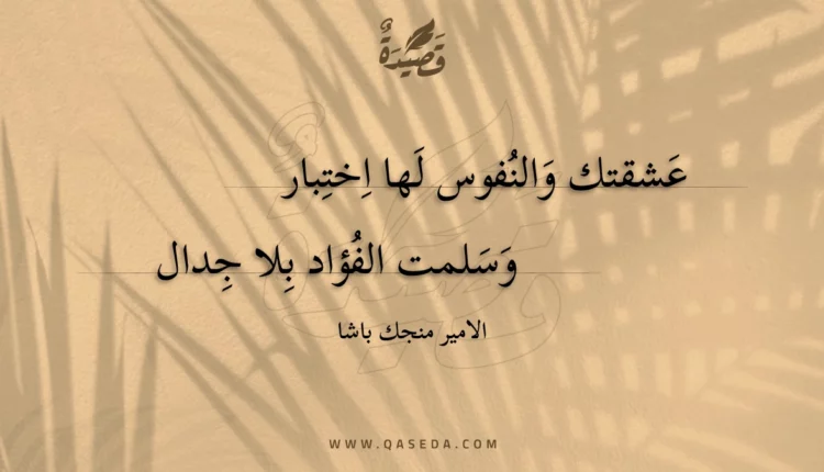 قصيدة عشقتك والنفوس لها اختبار