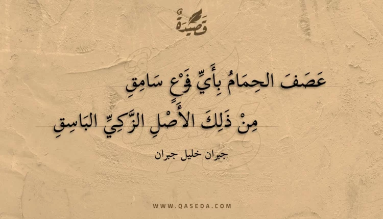 قصيدة عصف الحمام بأي فرع سامق