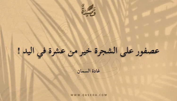 قصيدة عصفور على الشجرة خير من عشرة في اليد !