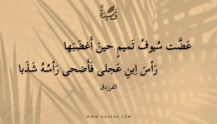 قصيدة عضت سيوف تميمٍ حين أغضبها