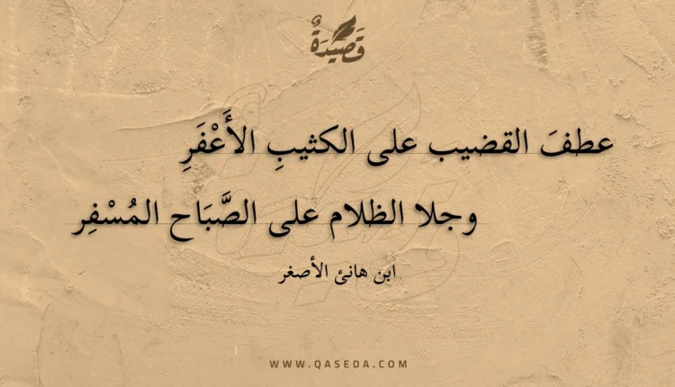 قصيدة عطف القضيب على الكثيب الأعفر
