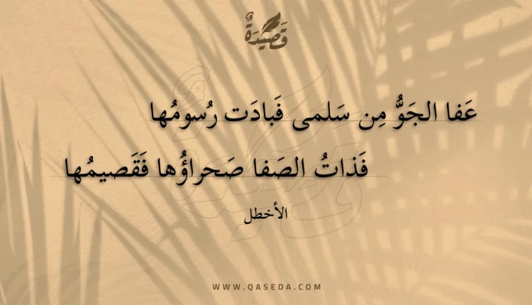 قصيدة عفا الجو من سلمى فبادت رسومها