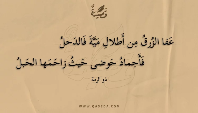 قصيدة عفا الزرق من أطلال مية فالدحل