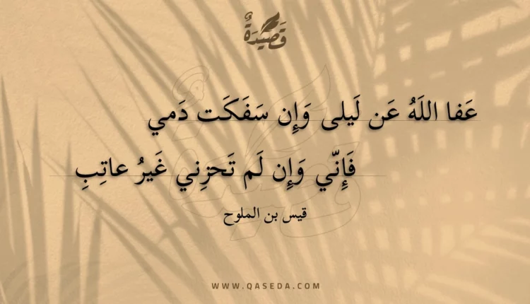 قصيدة عفا الله عن ليلى وإن سفكت دمي