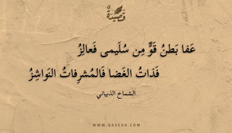 قصيدة عفا بطن قو من سليمى فعالز