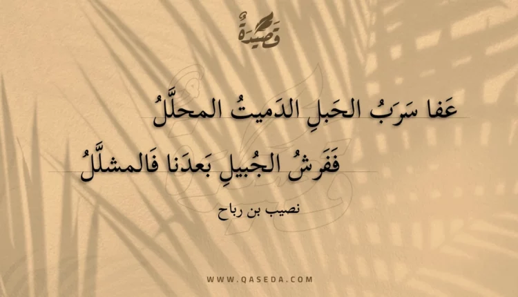 قصيدة عفا سرب الحبل الدميت المحلل