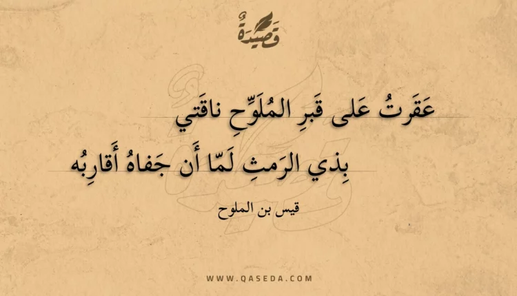 قصيدة عقرت على قبر الملوح ناقتي