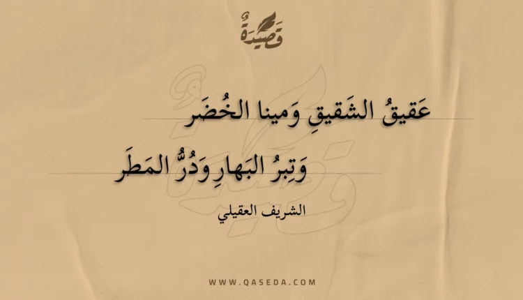 قصيدة عقيق الشقيق ومينا الخضر