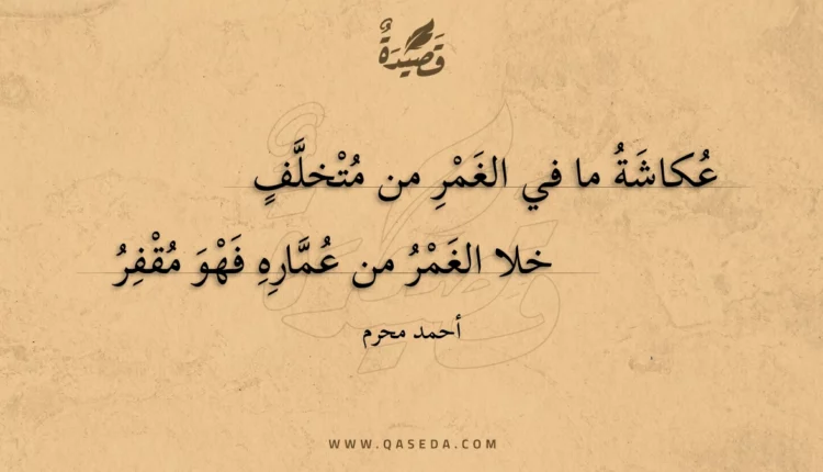 قصيدة عكاشة ما في الغمر من متخلف