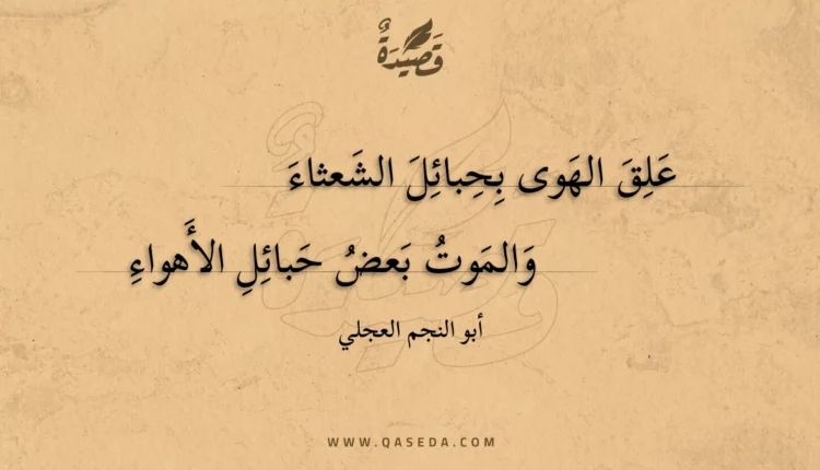 قصيدة علق الهوى بحبائل الشعثاء