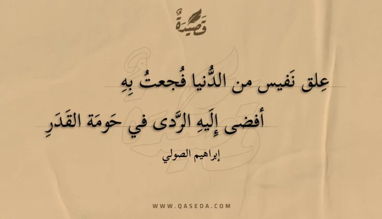 قصيدة علق نفيس من الدنيا فجعت به