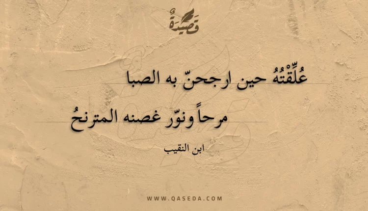 قصيدة علقته حين ارجحن به الصبا