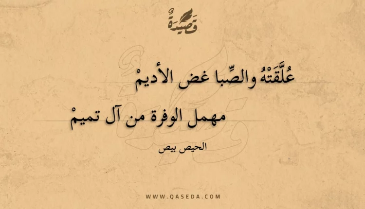 قصيدة علقته والصبا غض الأديم