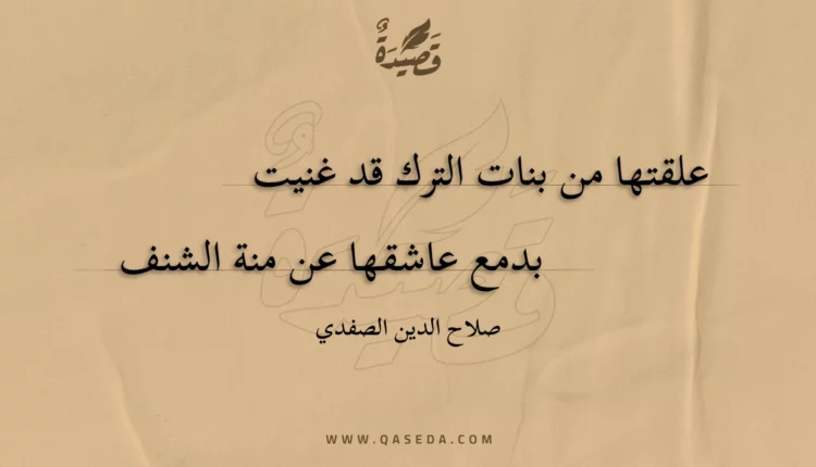 قصيدة علقتها من بنات الترك قد غنيت