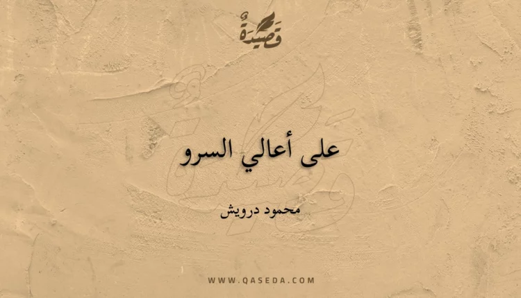 قصيدة على أعالي السرو