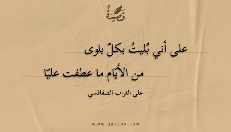 قصيدة على أني بليت بكل بلوى