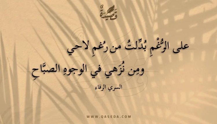 قصيدة على الرغم بدلت من رغم لاحي